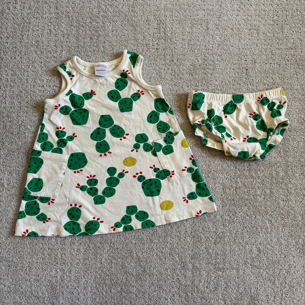 Hanna Andersson Cactus Print Pocket Dress and Bloomers Set